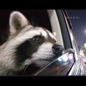 Meet your Posher, Isaac